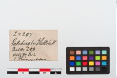 Etiketten zu Bronzering (NHMW-PRAE-024297)